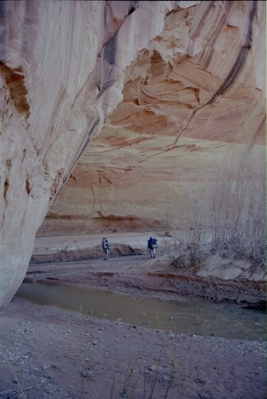 Enlarge photo 234