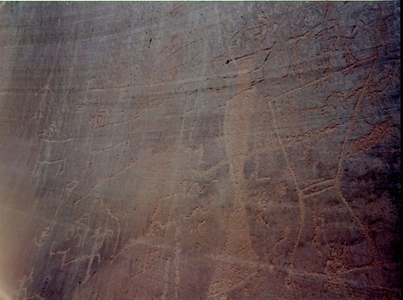 Enlarge photo 224