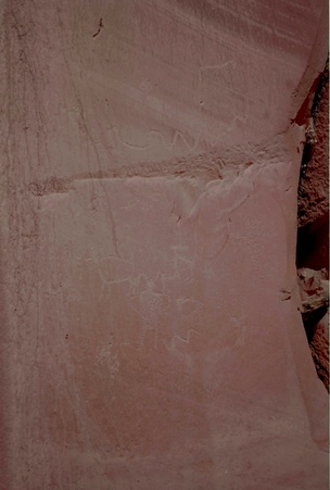 Enlarge photo 226