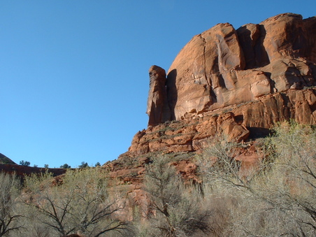 Enlarge photo 53
