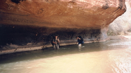 Enlarge photo 75