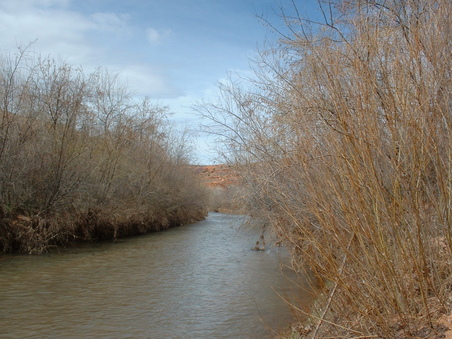 Enlarge photo 76