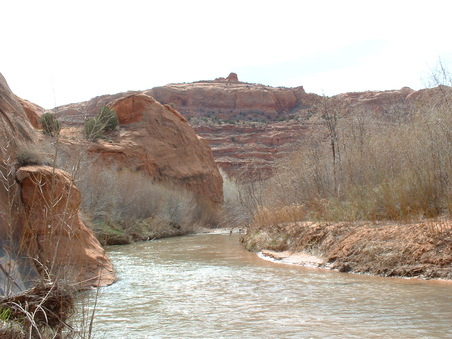 Enlarge photo 77