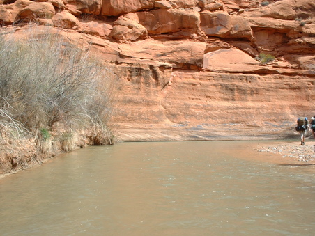 Enlarge photo 83