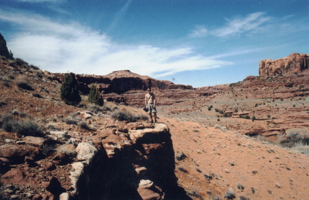 Enlarge photo 95