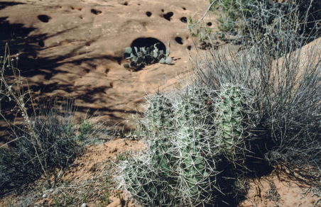 Enlarge photo 107