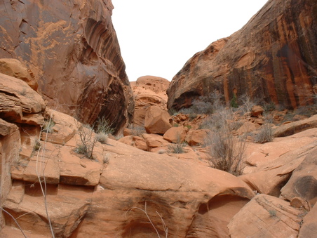 Enlarge photo 165