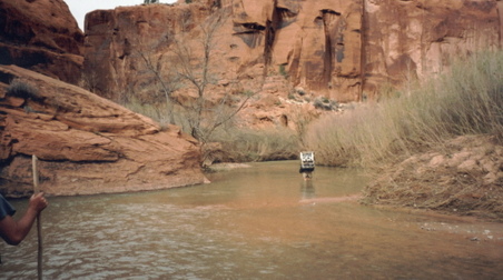 Enlarge photo 179