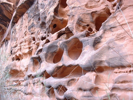 Enlarge photo 188