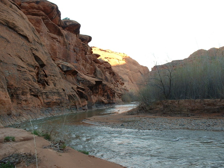 Enlarge photo 198