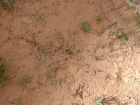 Enlarge photo 204
