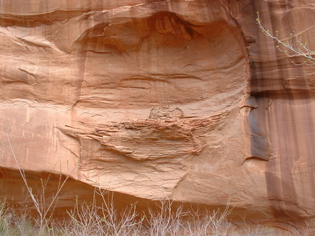 Enlarge photo 206