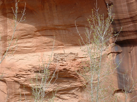 Enlarge photo 207