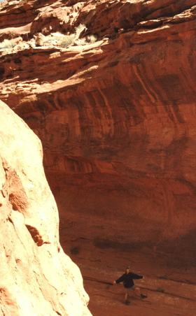 Enlarge photo 209