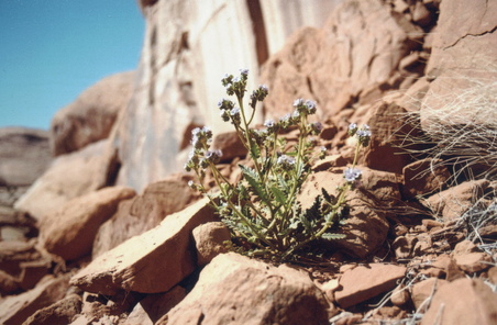 Enlarge photo 229