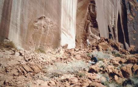 Enlarge photo 220