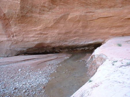 Enlarge photo 233