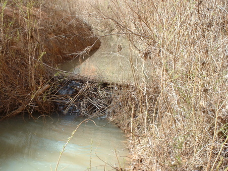 Enlarge photo 238