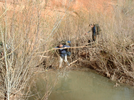 Enlarge photo 239