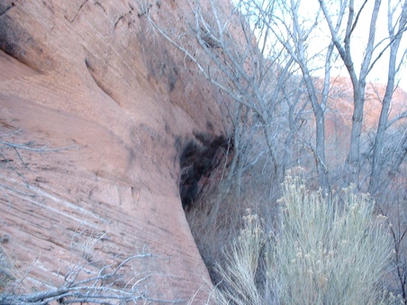 Enlarge photo 258
