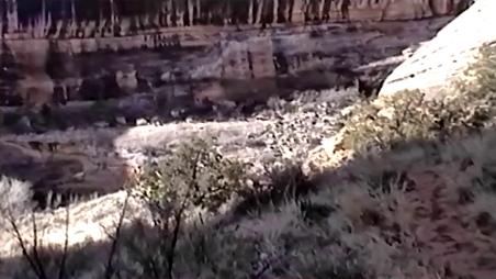Enlarge MPEG4 48
