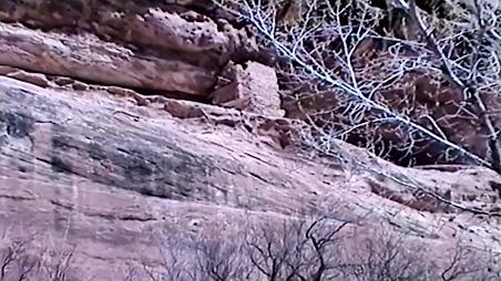 Enlarge MPEG4 65