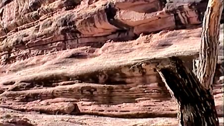 Enlarge MPEG4 76
