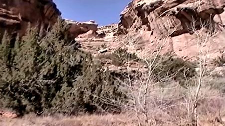 Enlarge MPEG4 104