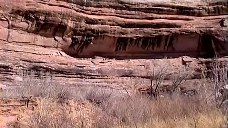 Enlarge MPEG4 121