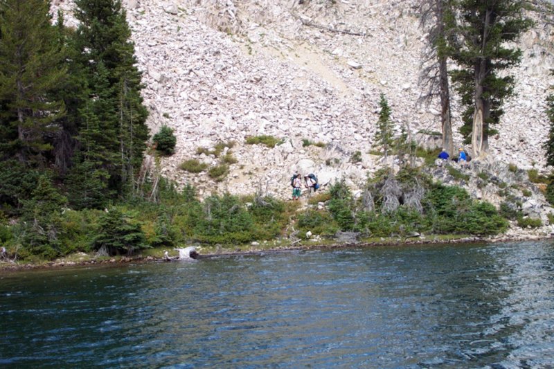 View Original Image