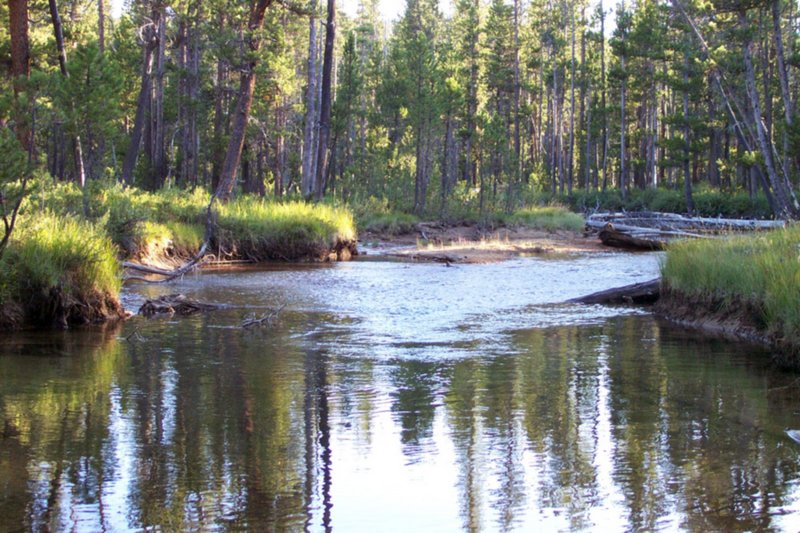 View Original Image