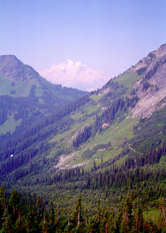 View Original Image