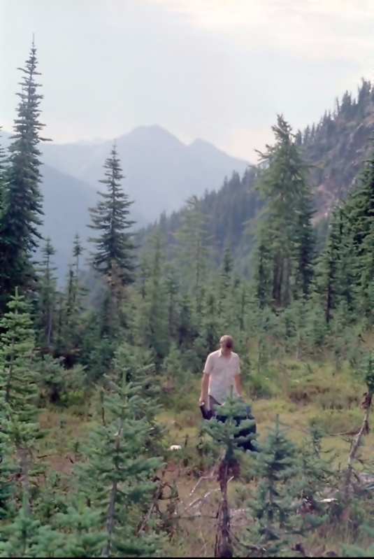 View Original Image