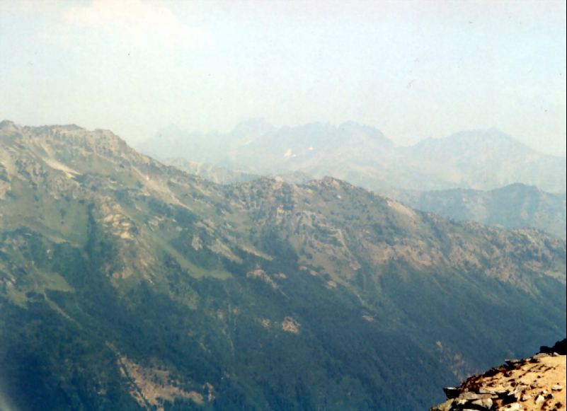 View Original Image