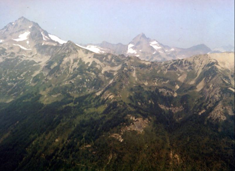 View Original Image