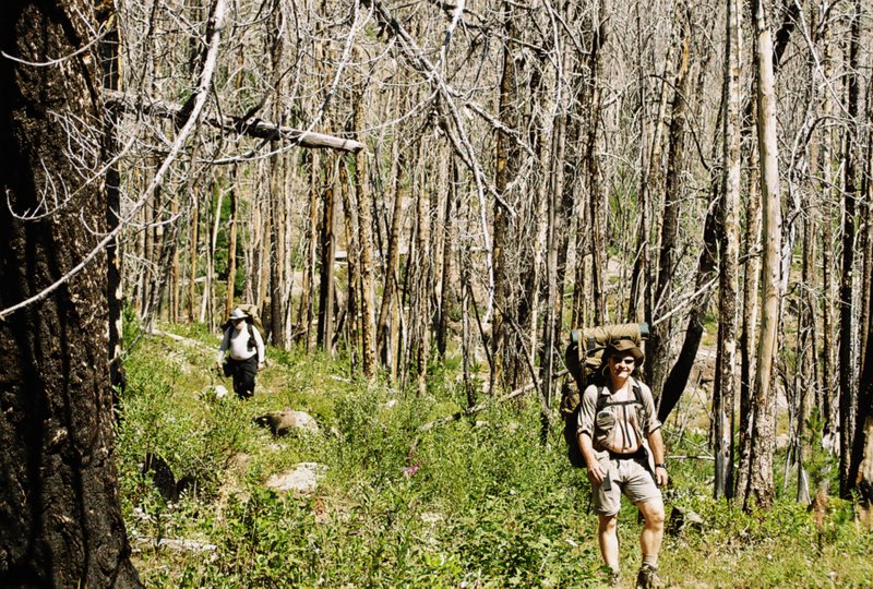 View Original Image