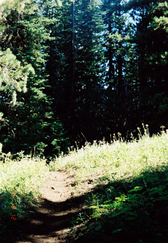 View Original Image