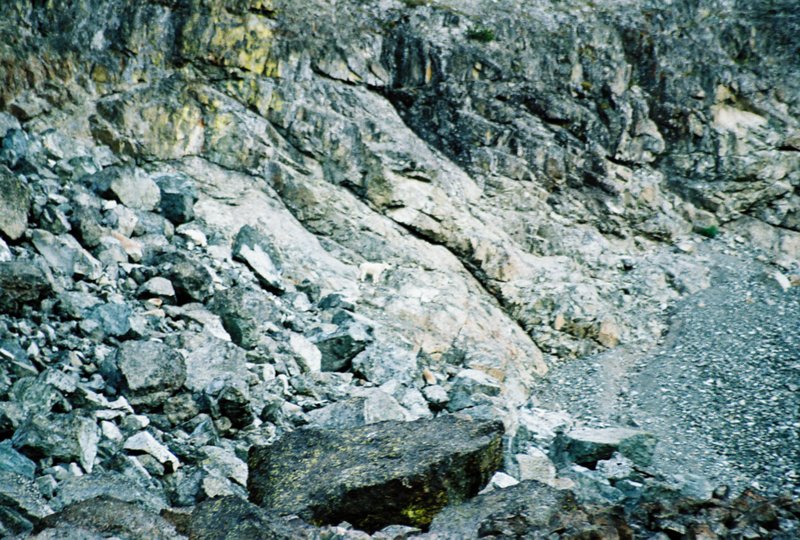 View Original Image