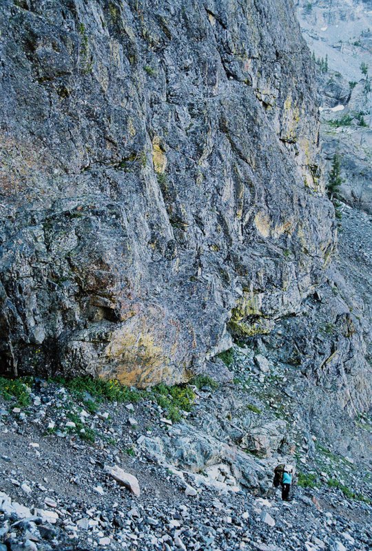 View Original Image