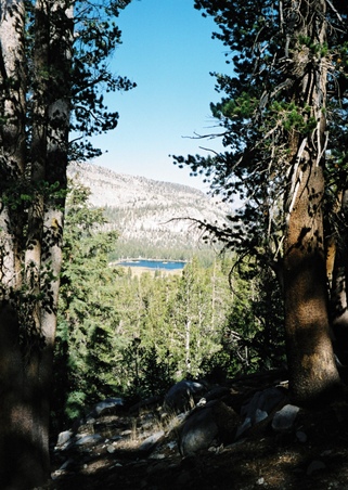 Enlarge photo 5