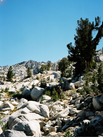 Enlarge photo 29