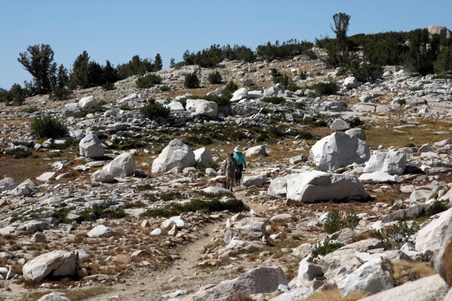Enlarge photo 38