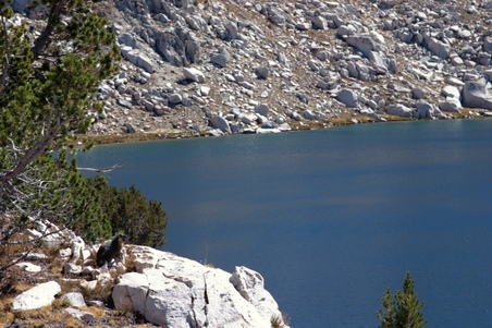 Enlarge photo 40