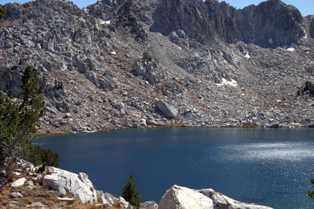 Enlarge photo 41