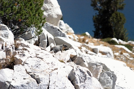 Enlarge photo 43