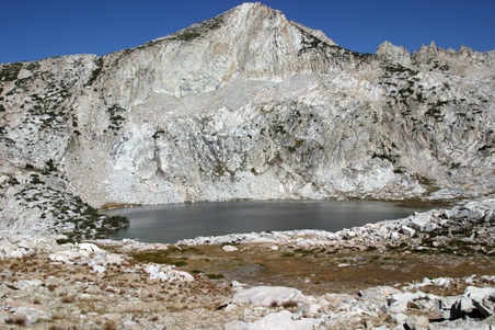 Enlarge photo 45
