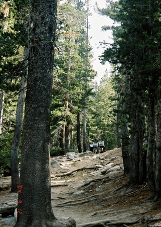 Enlarge photo 10