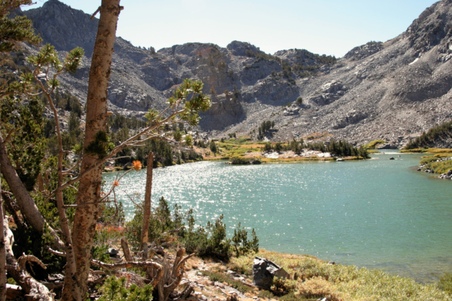 Enlarge photo 30