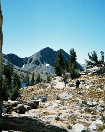 Enlarge photo 43