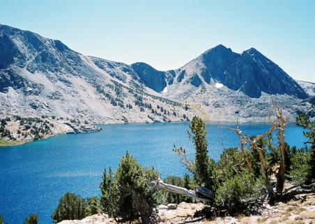 Enlarge photo 45